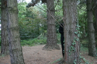scenario 15