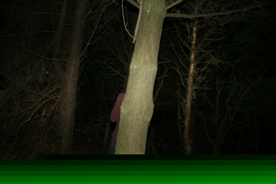 waldst?ck