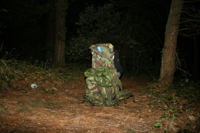 waldst?ck